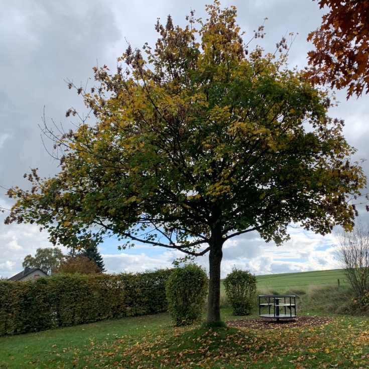 Bild zum Spielplatz Hochsteinring