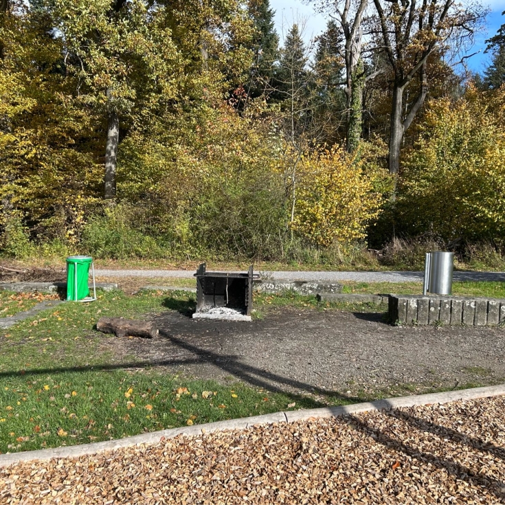 Bild 6: Hönggerbergring