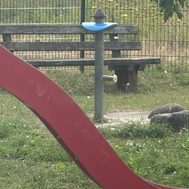 Bild 3: Im Wiesengarten