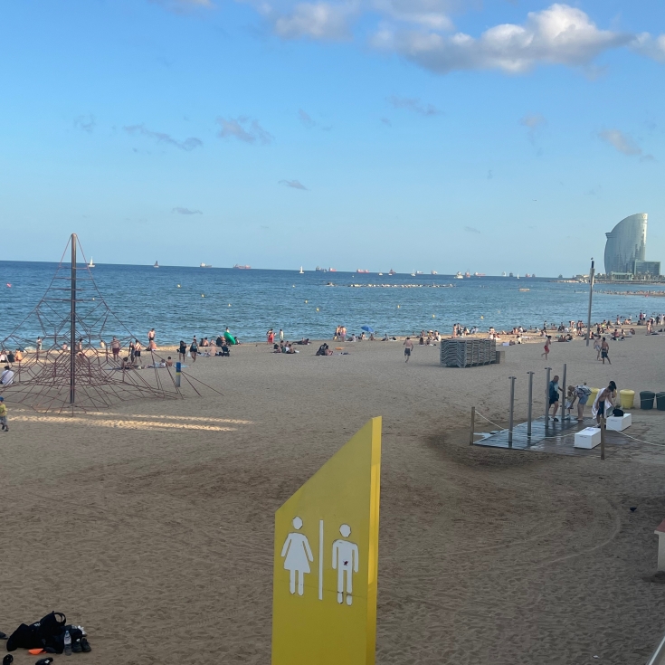 Bild 2: Kletterspinne am Barceloneta Strand