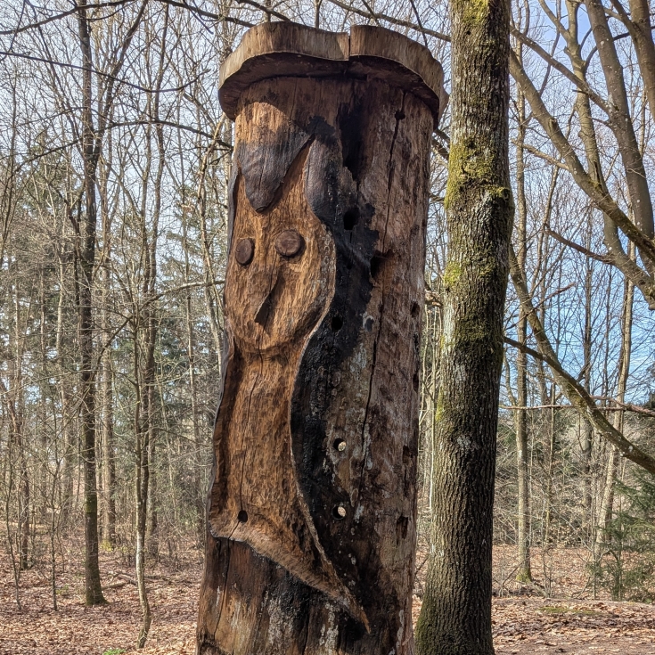 Bild 3: Märchenwald