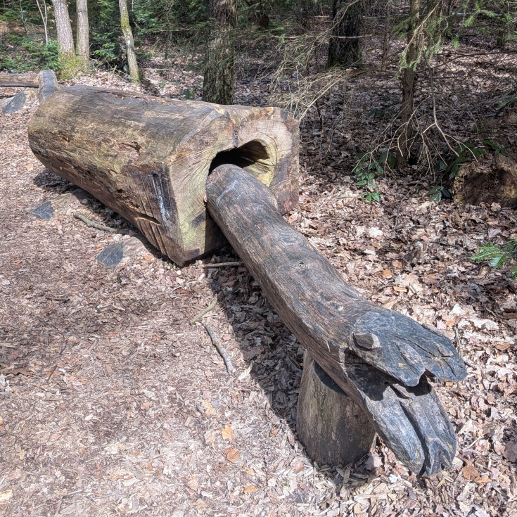 Bild 5: Märchenwald