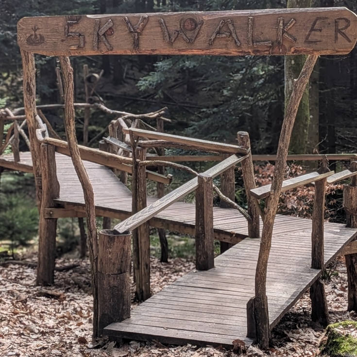 Bild 6: Märchenwald