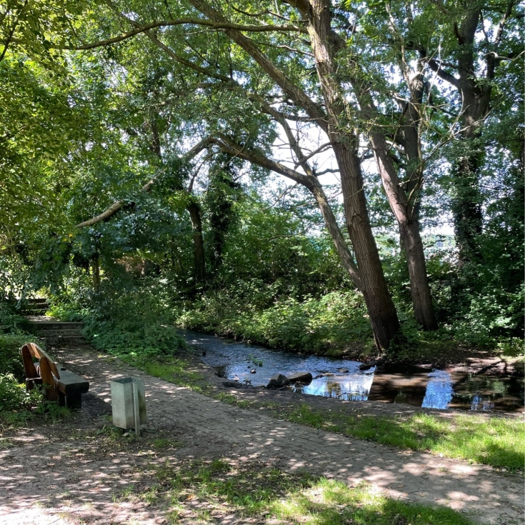 Bild 3: Niendorfer Straße