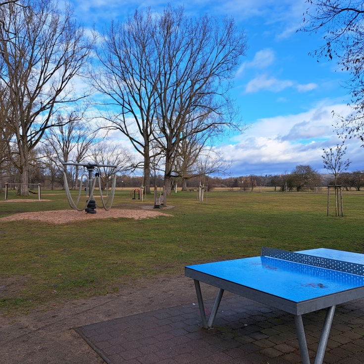 Bild zum Spielplatz Regnitzwiesen