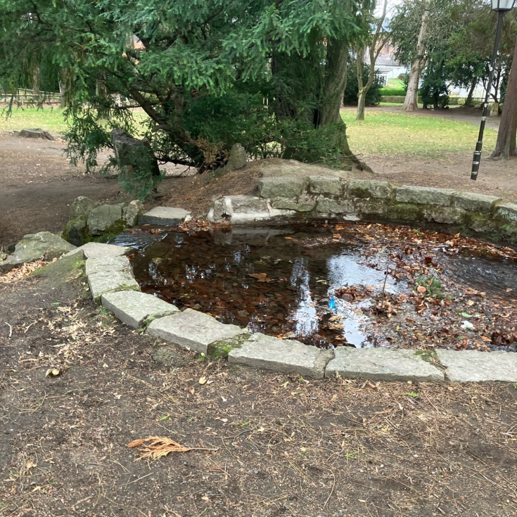 Bild 8: Silberbornstraße