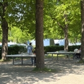 Bild vom Spielplatz anzeigen.