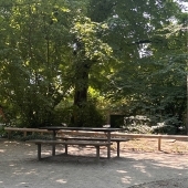 Bild vom Spielplatz anzeigen.