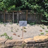 Bild vom Spielplatz anzeigen.