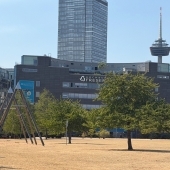 Bild vom Spielplatz anzeigen.