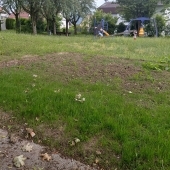 Bild vom Spielplatz anzeigen.