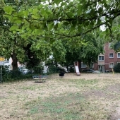 Bild vom Spielplatz anzeigen.