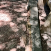 Bild vom Spielplatz anzeigen.