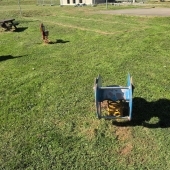 Bild vom Spielplatz anzeigen.