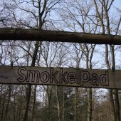 Bild vom Spielplatz anzeigen.