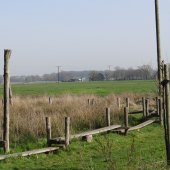 Bild vom Spielplatz anzeigen.