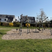 Bild vom Spielplatz anzeigen.