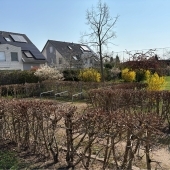 Bild vom Spielplatz anzeigen.