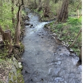 Bild vom Spielplatz anzeigen.