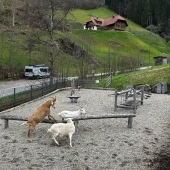 Bild vom Spielplatz anzeigen.