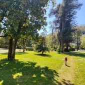 Bild vom Spielplatz anzeigen.