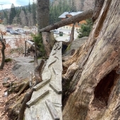 Bild vom Spielplatz anzeigen.