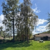 Bild vom Spielplatz anzeigen.