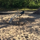 Bild vom Spielplatz anzeigen.