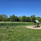 Bild vom Spielplatz anzeigen.