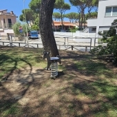 Bild vom Spielplatz anzeigen.
