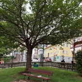 Bild vom Spielplatz anzeigen.