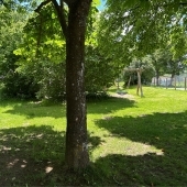 Bild vom Spielplatz anzeigen.