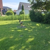 Bild vom Spielplatz anzeigen.