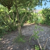 Bild vom Spielplatz anzeigen.