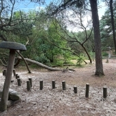 Bild vom Spielplatz anzeigen.