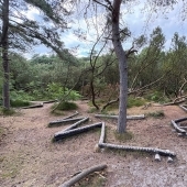 Bild vom Spielplatz anzeigen.
