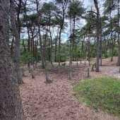 Bild vom Spielplatz anzeigen.