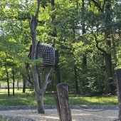 Bild vom Spielplatz anzeigen.