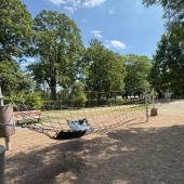 Bild vom Spielplatz anzeigen.