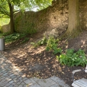 Bild vom Spielplatz anzeigen.