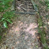 Bild vom Spielplatz anzeigen.