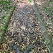 Bild vom Spielplatz anzeigen.