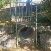 Bild vom Spielplatz anzeigen.