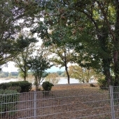 Bild vom Spielplatz anzeigen.