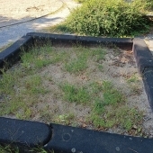 Bild vom Spielplatz anzeigen.