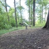 Bild vom Spielplatz anzeigen.