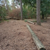 Bild vom Spielplatz anzeigen.