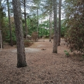 Bild vom Spielplatz anzeigen.
