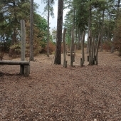 Bild vom Spielplatz anzeigen.