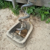 Bild vom Spielplatz anzeigen.